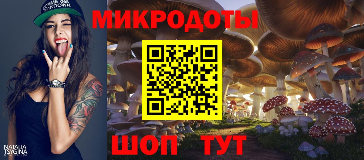 Тамбов  Галлюциногенные грибы Cubensis  Вход с VPN 
